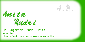 anita mudri business card